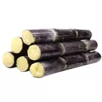 湛航 广东黑皮甘蔗新鲜甘蔗现砍现发农家甘蔗新鲜应季水果