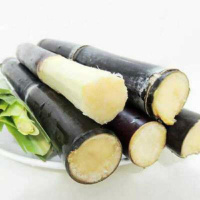 湛航 黑皮紫皮甘蔗果蔗孕妇新鲜水果整箱应季清甜