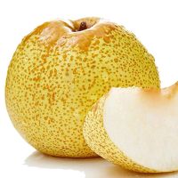 湛航 正宗砀山酥梨百年梨树 整箱新鲜梨子现摘现发水果批发