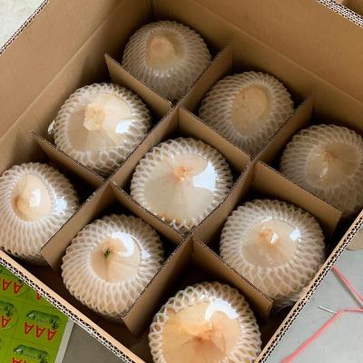 湛航椰青新鲜椰子水果新鲜孕妇当季水果现摘发