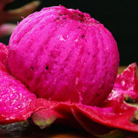 湛航 火龙果红心当季一级 应季水果产地直发大果红肉金都一号