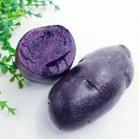 湛航 黑土豆新鲜马铃薯黑金刚黑美人紫皮洋芋种子花青素