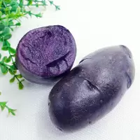 湛航 甘肃定西黑土豆新鲜马铃薯黑金刚黑美人紫皮洋芋种子花青素