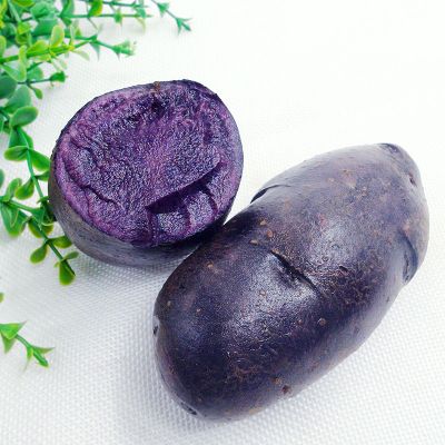 湛航 甘肃定西黑土豆新鲜马铃薯黑金刚黑美人紫皮洋芋种子花青素