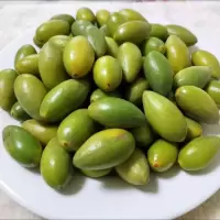 湛航 甜橄榄甜种金灶橄榄果生吃酥脆无渣特甘甜青翠生橄榄