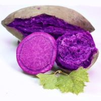 湛航 紫薯新鲜 紫薯批发小香番薯地瓜板栗紫薯甜糯山芋 红薯蔬菜