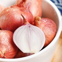 湛航 东北毛葱2500g 农家特产种植新鲜小圆葱鬼子葱红葱头3斤