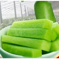 湛航 沙窝萝卜正宗水果青萝卜生吃甜脆新鲜蔬菜现摘