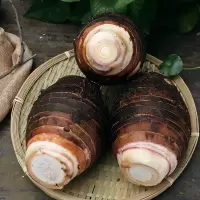 湛航 新鲜软糯芋头批发价整箱槟榔芋农家香芋