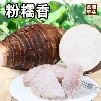 湛航 正宗芋头新鲜现挖当季农家蔬菜紫藤槟榔香芋特产批发