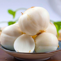 湛航 百合新鲜现挖甜糯鲜百合新货非百合干蔬菜批发