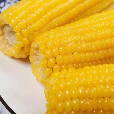 湛航 新东北糯玉米棒子玉米新鲜真空包装甜糯即食代餐玉米黏粘糯玉米