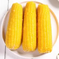 湛航 正宗东北黄糯玉棒真空包装白糯玉米早餐代餐即食粘玉米熟黏玉米