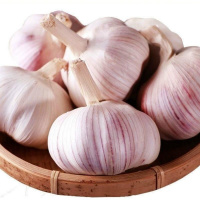 湛航 大蒜新干蒜大蒜大蒜头批发3斤5斤10斤大蒜头紫白皮