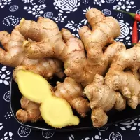 湛航 小黄姜罗平生姜批发新鲜老姜种带泥干姜嫩姜食用 1斤