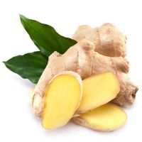 湛航 生姜批发大姜老姜食用新鲜生姜老姜母老生姜老黄姜