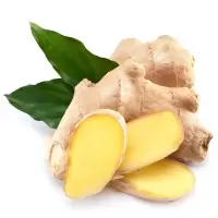 湛航 生姜批发大姜老姜食用新鲜生姜老姜母老生姜老黄姜