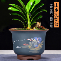 君子兰紫砂花盆蝴蝶兰多肉芦荟仙人球客厅庭院阳台陶瓷盆景盆