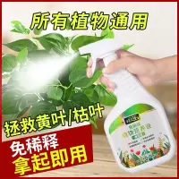 营养液植物通用型养花发财树绿植花卉绿萝叶面喷施免稀释盆栽肥料