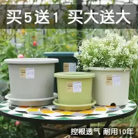 四季北欧简约2021新款加仑盆Deepot大号月季塑料厂家直销