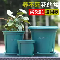 塑料青山盆控根花盆不烂根月季绿萝加厚加仑花盆创意个性塑料花盆