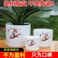 仿陶瓷树脂特大号加厚花盆碗莲睡莲花卉绿植君子兰大口径塑料花盆