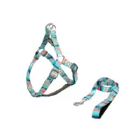 TUFF HOUND 它愿三角胸背套装 XS号 蓝色 项圈牵引绳狗链子狗绳宠物用品