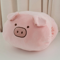 男生冬季暖手抱枕插手毛绒可爱暖手捂枕冬天暖手神器可放热水袋