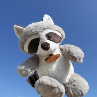 北欧日系浣熊公仔柔软毛绒玩偶娃娃手拿儿童玩具萌节日样板房