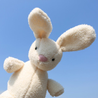 ins兔子公仔小清新宝宝兔玩偶柔软小玩偶儿童玩具女孩手拿小兔子