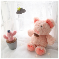 ins安抚猪公仔柔软毛绒玩偶猪娃娃手拿儿童玩具软萌节日抓机