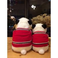 amangs穿衣熊猫公仔红条毛衣毛绒玩具熊猫基地热卖纪念品玩偶