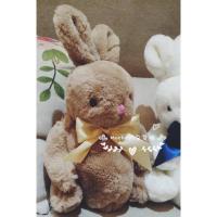 【Mocha】日本珍珠链条毛绒兔子包可爱单肩少女毛绒兔子