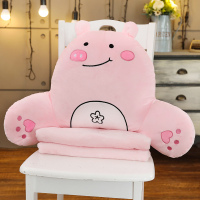 可爱呆萌小猪猪河马护腰枕靠垫毛绒玩具小恐龙靠垫被腰枕孕妇抱枕