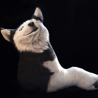 3D逼真仿真二哈士奇半身狗大腿睡觉抱枕表情包靠垫狗整蛊道具玩具