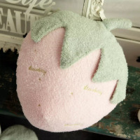 ins红抱枕毯子两用可爱韩国莓菠萝仙人掌粉色少女心毛绒靠垫