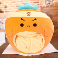 冬天多功能恐龙猫胡萝卜暖手抱枕插手透明可以玩手机神器可视小巧