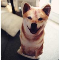 ins可爱萌柴犬公仔狗狗毛绒玩具秋田仿真娃娃柯基抱枕男女生玩偶 秋田 60厘米