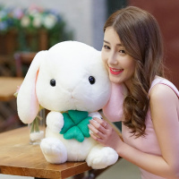 可爱少女心韩国毛绒玩具赵丽颖同款垂耳兔公仔长耳玩偶抱枕女生萌