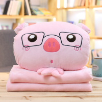 可爱小猪公仔抱枕被子两用睡觉枕头儿童午睡毯子毛绒玩具女生
