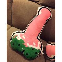 ins同款男朋友老公抱枕创意整蛊单身基友闺蜜男女污污的生日 男朋友抱枕一个 长约45厘米