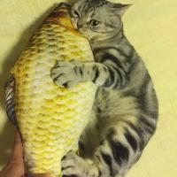 猫玩具猫薄荷鱼抱枕猫枕头宠物仿真猫咪毛绒鱼抓狂逗猫棒薄荷包