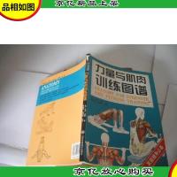 力量与肌肉训练图谱