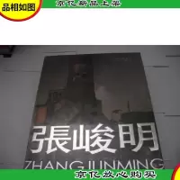 中国油画名家. 张峻明