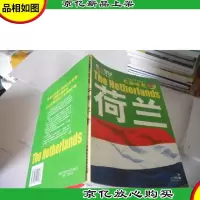大国崛起系列丛书:荷兰