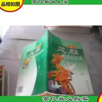 新编凤雕技法与应用