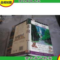 法国(目击者旅游指南)