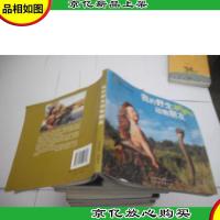 我的野生动物朋友