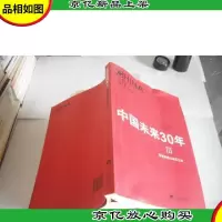 中国未来30年III:重塑梦想与现实之维