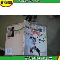 怎样调教你的小猫咪